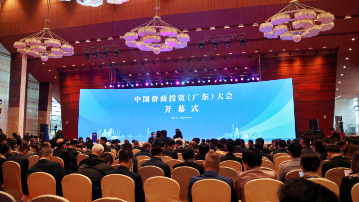 僑聯經濟科技項目風險評估與防控策略